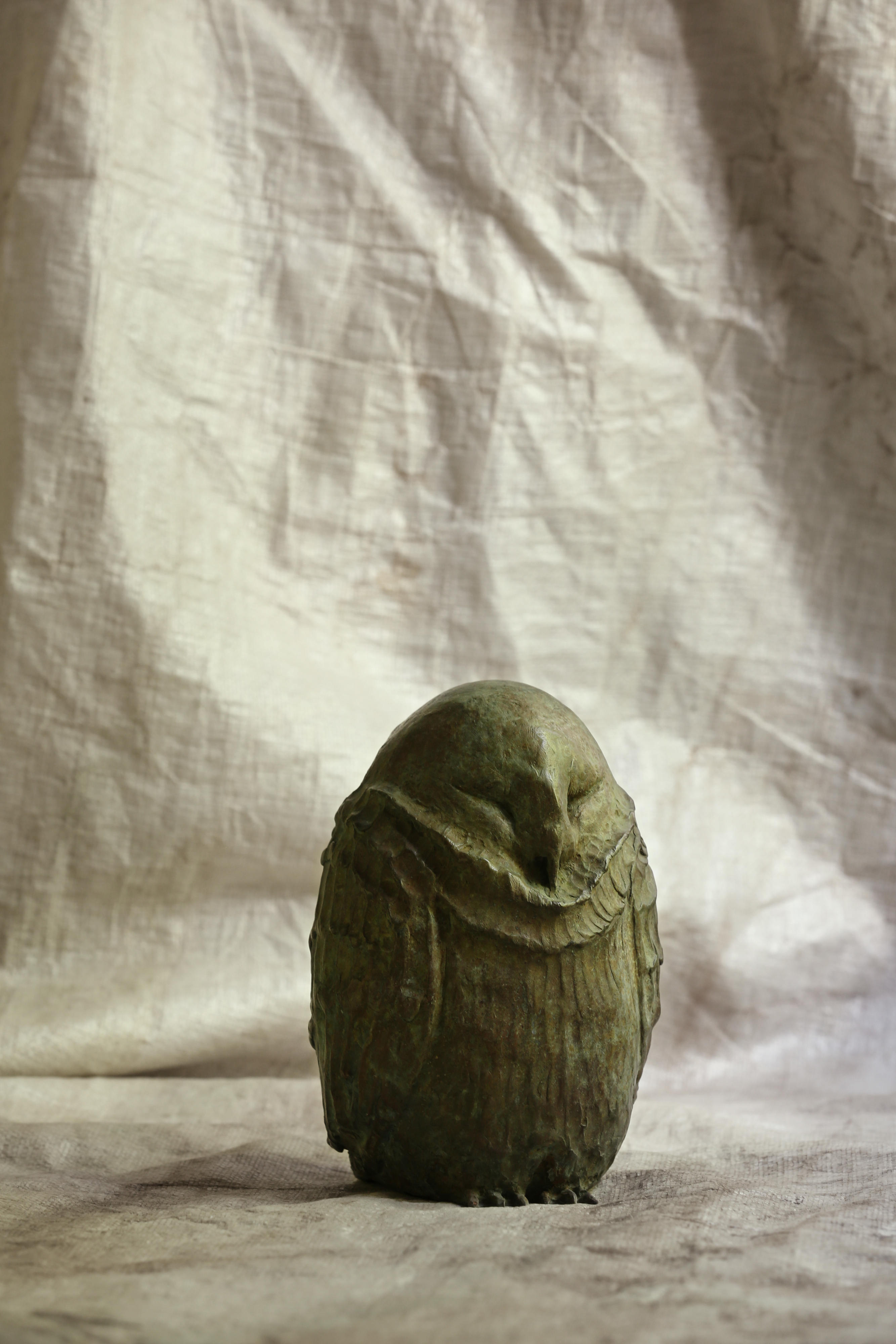 Athene Noctua